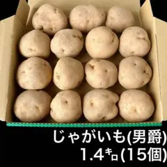 北海道産男爵いも1.4kg 15個 じゃがいも馬鈴薯 肉じゃがカレーじゃがバター