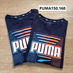 PUMA ネイビー Tシャツ グラフィックプリント150.160cm2枚セット