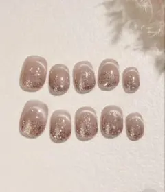 【新品未使用】Anail ネイルチップ 水光ネイル