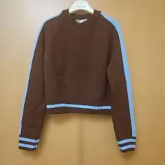 ZARA 茶色/青 クロップドセーター入手困難