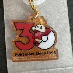 新品 ポケチャーム ポケモン30周年ロゴマスコット 2 ホゲータ