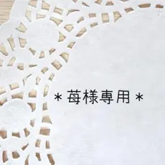 ＊苺様専用＊