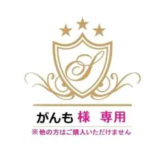 【がんもさま専用】日野　プリズム+横長　おまとめ2枚セット