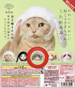 かわいいかわいい　ねこうさぎちゃん　たれみみ　ねこのかぶりもの　ガチャ　グレー