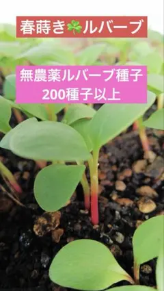 happy様 リクエスト 3点 まとめ商品