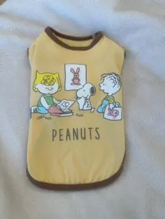 Item thumbnail for item 46d3c1b4-0c0a-424c-bc0e-cc90802e3785