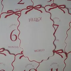 ⑨マンスリーカード 月齢フォト ニューボーンフォト 出産準備 赤