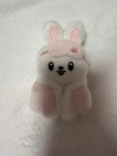 スキズ 本国ペンミ SKZOO PLUSH TOY Leebit リノ - メルカリ