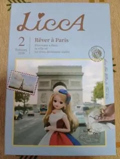 LiccAブック型ボックス