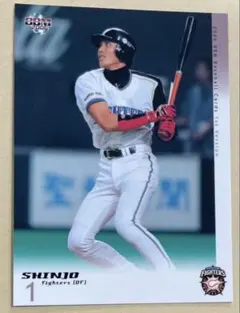 2026年最新】SHINJO カードの人気アイテム - メルカリ