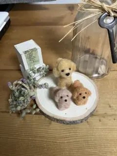 見本