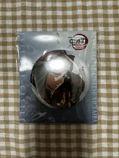 鬼滅の刃　缶バッジ　冨岡義勇　劇場版鬼滅の刃　無限城編　飾れる缶バッジ