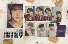 SEVENTEEN WONWOO ポストカード トレカ 14点 まとめ売り