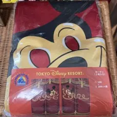 東京ディズニーリゾート 40周年 カーテン 2枚入り
