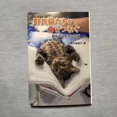 Item thumbnail for item 9716bb5e-0405-443f-a9c5-0f0229e7c9ba