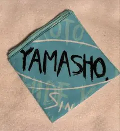 Item thumbnail for item 7736d09c-e8d5-417b-b151-9408007c9320