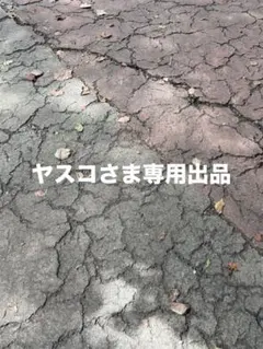 ヤスコさま専用出品