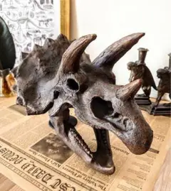 トリケラトプス インテリア オブジェ 雑貨 恐竜の化石 ジュラシックワールド