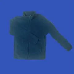 UNIQLO ユニクロ　フリースジャケット　ブルー　Lサイズ　ハイネック