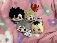 ハイキュー　ぴんぐるみ