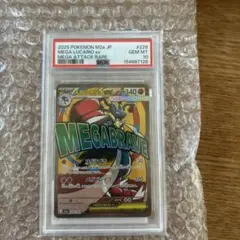 2026年最新】ルカリオex psa10の人気アイテム - メルカリ