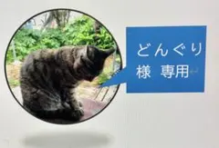 どんぐり様専用ページ