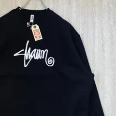 海外限定 トレーナー 刺繍 裏起毛 XL エスダブル