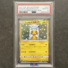 2025年最新】ポンチョを着たピカチュウ ロコン psa10の人気アイテム