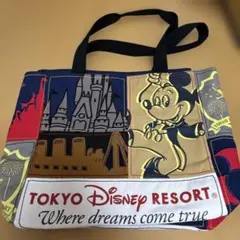 ディズニーリゾート　トートバッグ　刺繍