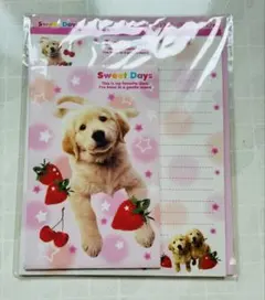 平成懷舊 Sweet Days 信紙信封組 黃金獵犬