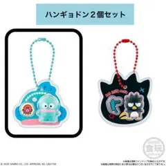 ハンギョドン キーホルダー サンリオキャラクターズ パッケージチャーム