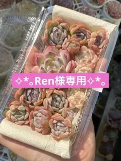 Ren様 リクエスト 2点 まとめ商品