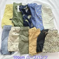【100cm】　男の子　夏服　半ズボン　まとめ売り　12着　ハーフパンツ