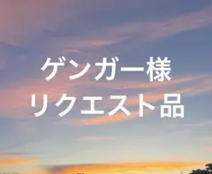 ゲンガー様 リクエスト 5点 まとめ商品