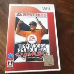 タイガー・ウッズ PGA TOUR 09 ALL-PLAY