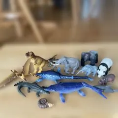 2026年最新】廃盤アニアの人気アイテム - メルカリ