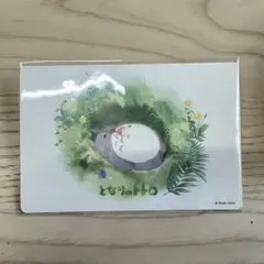 トトロ 水彩風 ポストカード ジブリ 宮崎駿 イラスト 新品未使用 海外限定