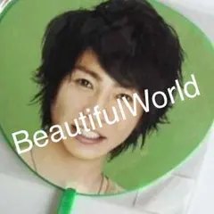 嵐 BeautifulWorld ミニうちわ