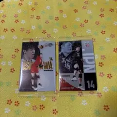 男子バレー日本代表ウエハース2026 石川祐希
