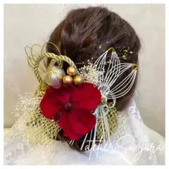 【金箔シート付】胡蝶蘭 成人式 髪飾り 結婚式 卒業式 前撮り 水引 和装 振袖