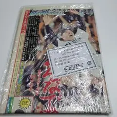 阪神タイガース　レジャーシート①のサムネイル