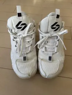 Jordan Luka2 조던 누가 2 27.5