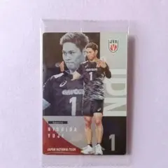 バレーボール日本代表 西田有志