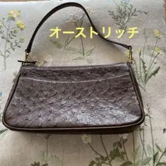 ❇︎美品❇︎小さなオーストリッチ　　レザー ハンドバッグ ダークブラウン