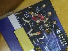 Item thumbnail for item 271f71e9-4e75-435d-8482-aa69b9c500b1