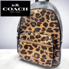 2026年最新】COACH コーチ リュック レオパードの人気アイテム - メルカリ