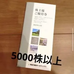 東急不動産ホールディングス 株主優待券冊子 5000株以上