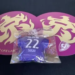 Item thumbnail for item ba4a971e-7b8b-480e-af4e-9a06b589c577