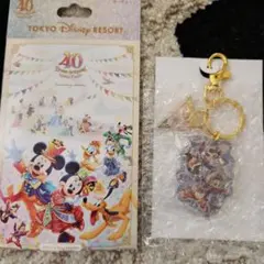 ディズニー　40周年グランドフィナーレ　キーチェーン　チップ＆デールのサムネイル