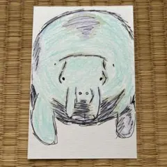 手描きイラスト 原画 はがき 動物 ジュゴン 一点もの